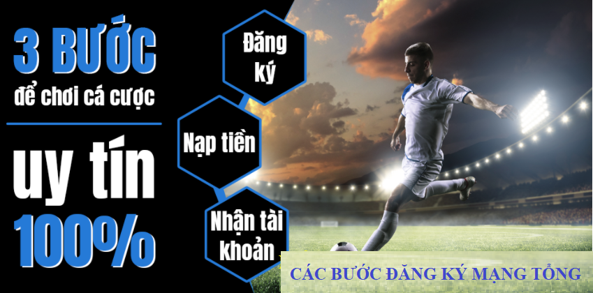Bạn cần lấy mạng bóng cho mùa giải năm nay