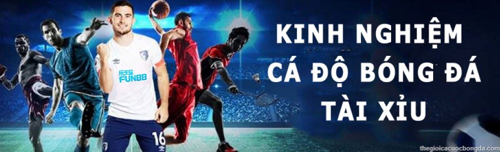 Tài xỉu là gì? Cách chơi tài xỉu hiệu quả trong bóng đá